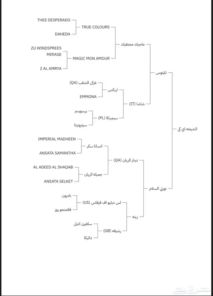 مهره واهو فاخرة للبيع 4