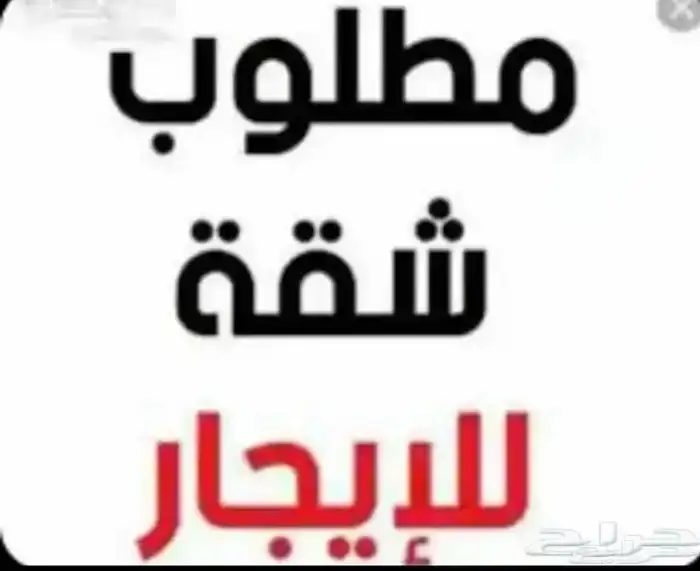 ابي شقة ايجار 3 غرف ( عريس )بلبن او العريجاء الغربي او طويق 0