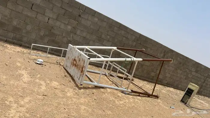 نجوان الحصينيه سائلةغزال 3