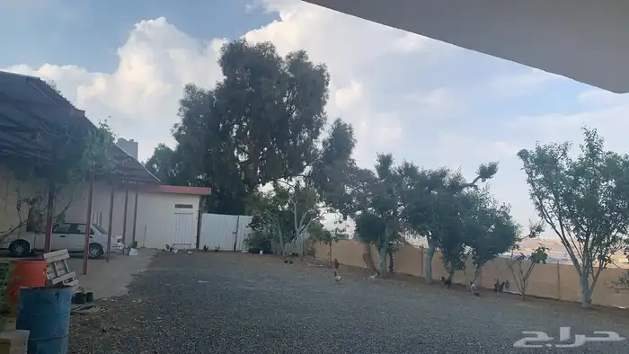 شقة و ادوار للايجار 14