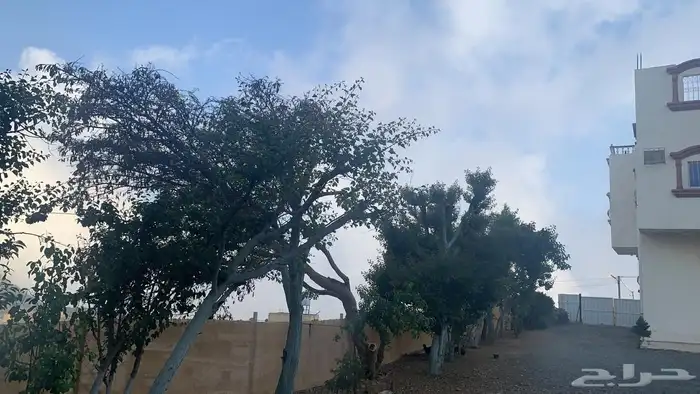 شقة و ادوار للايجار 12