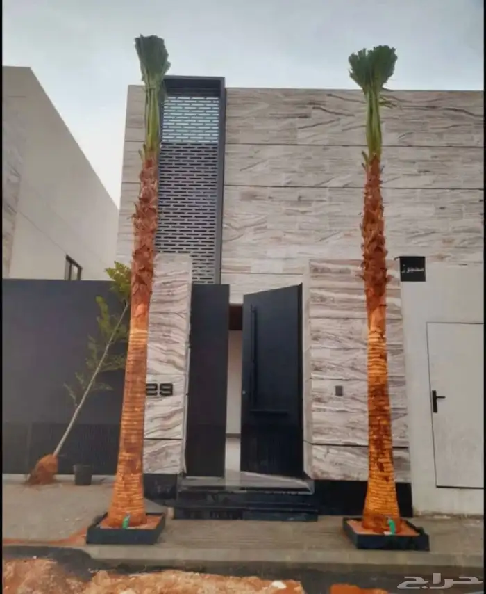 نخل واشجار وزيتون 16