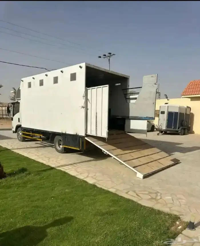 نقل خيل وادي دواسر 2