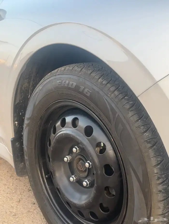 جنوط سوح 1