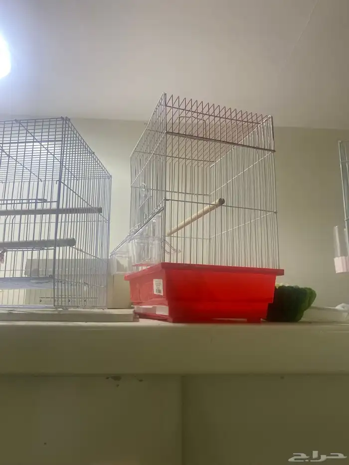 قفس للبيع 1