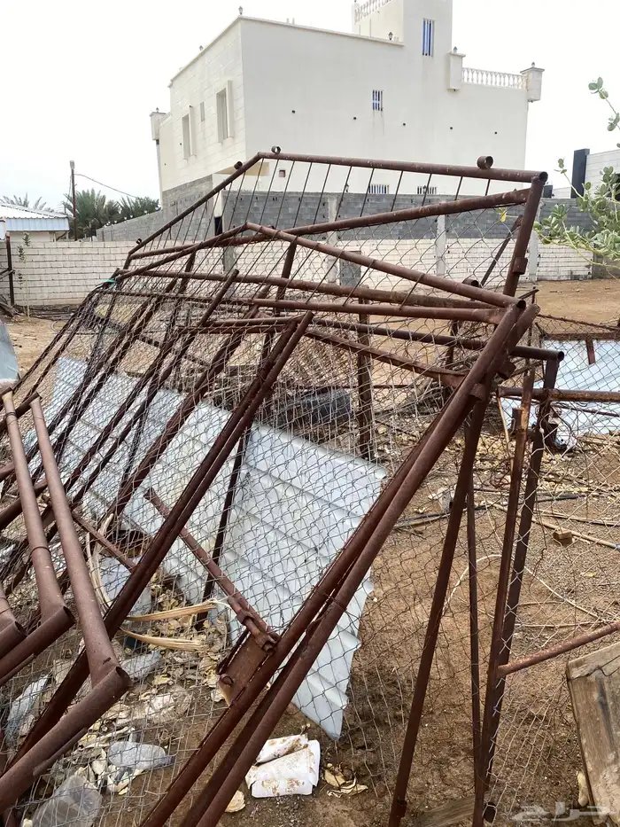 شبوك وخبز غنم وخزان 2