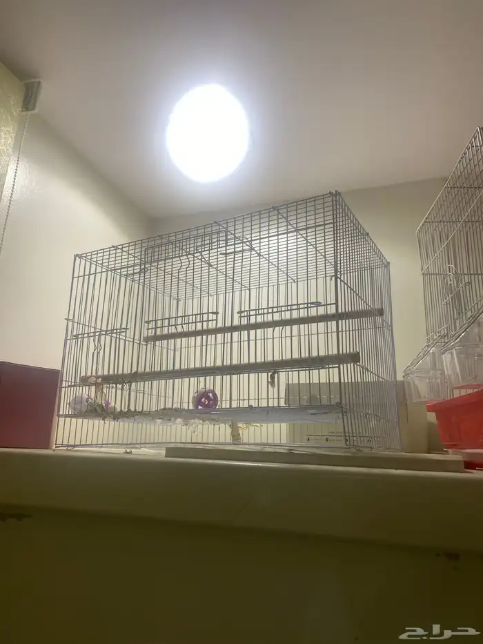 قفس للبيع 0
