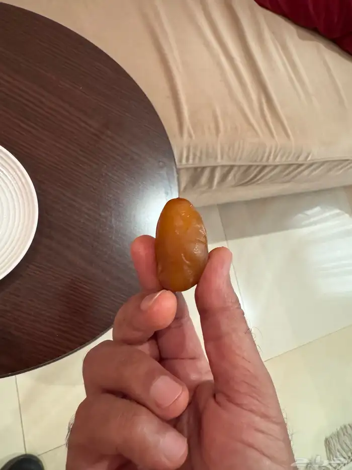 تمر خلاص اشيقر حبة كبير للبيع 1
