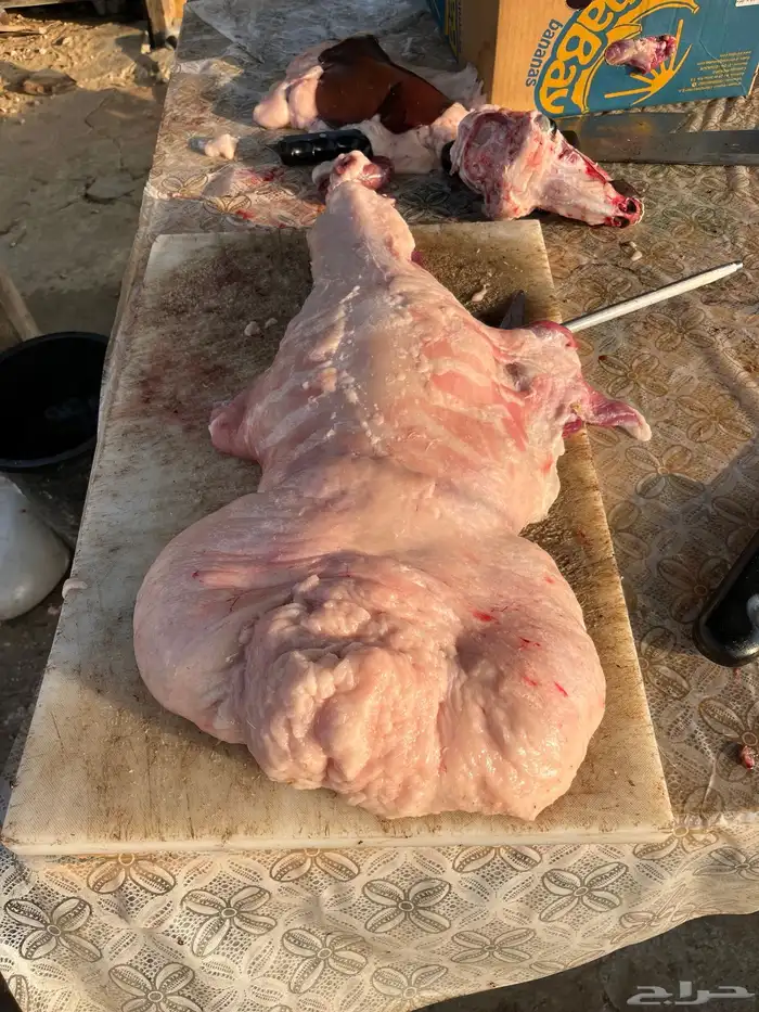 ذبايح 2