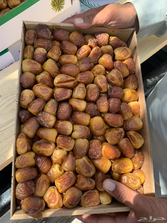 تمر سكري رطب 0