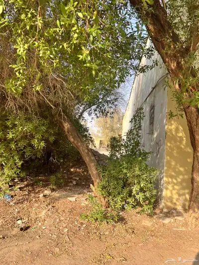 الرياض حي المصانع index