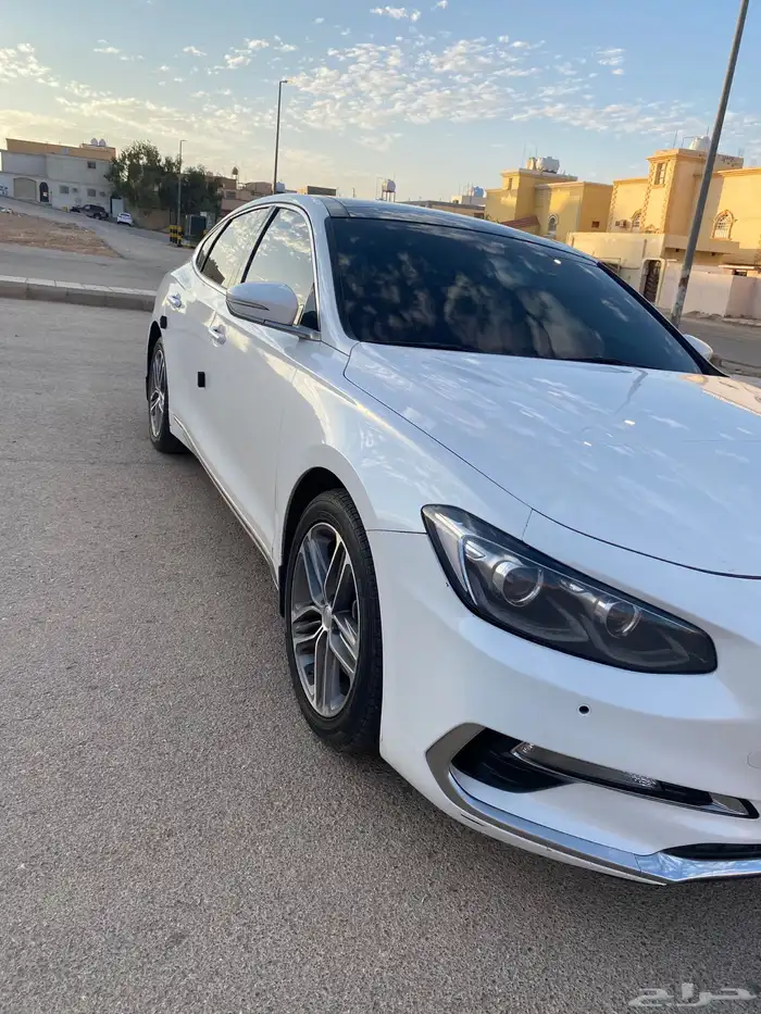 ازيرا 2019 نص فل اللون ابيض 4