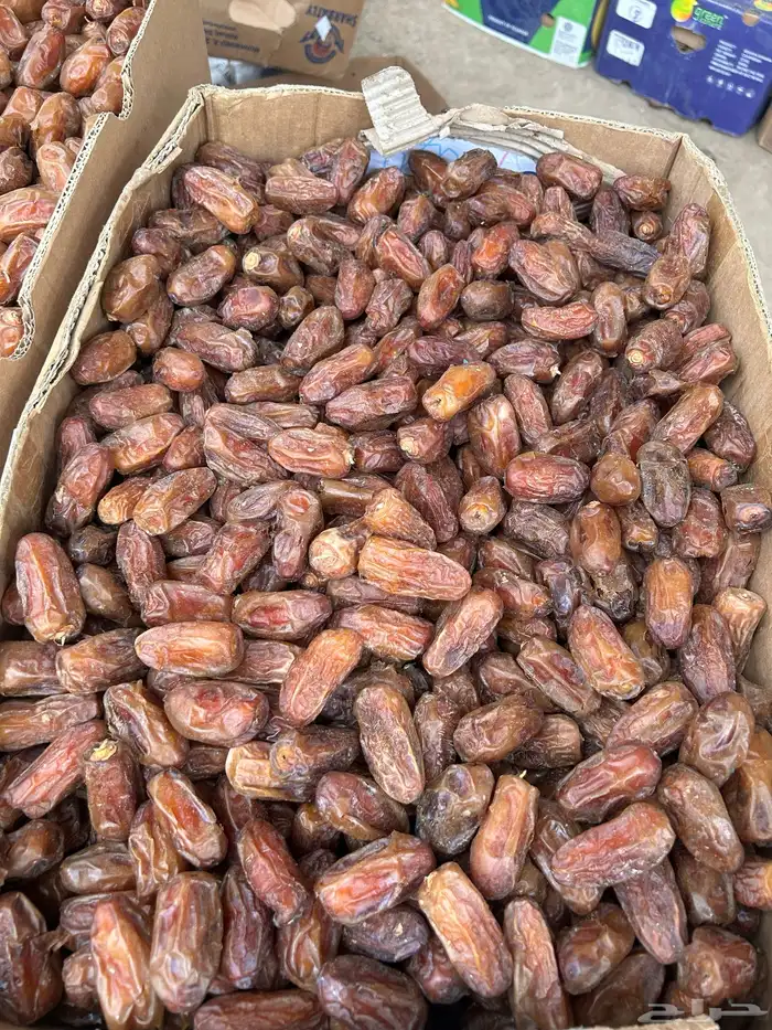 تمر صفري 1
