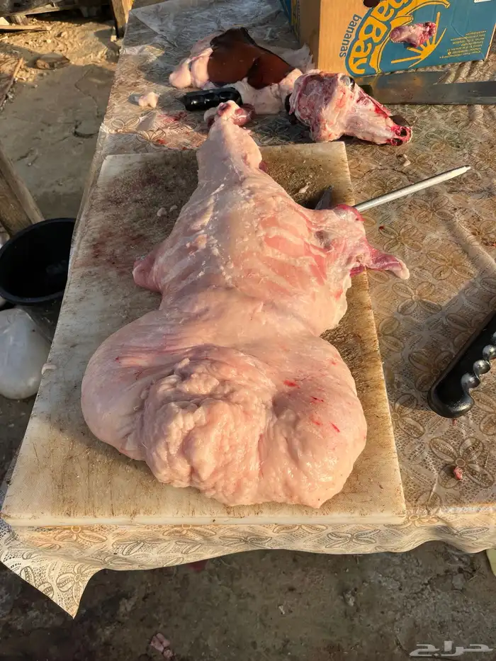 ذبايح 3