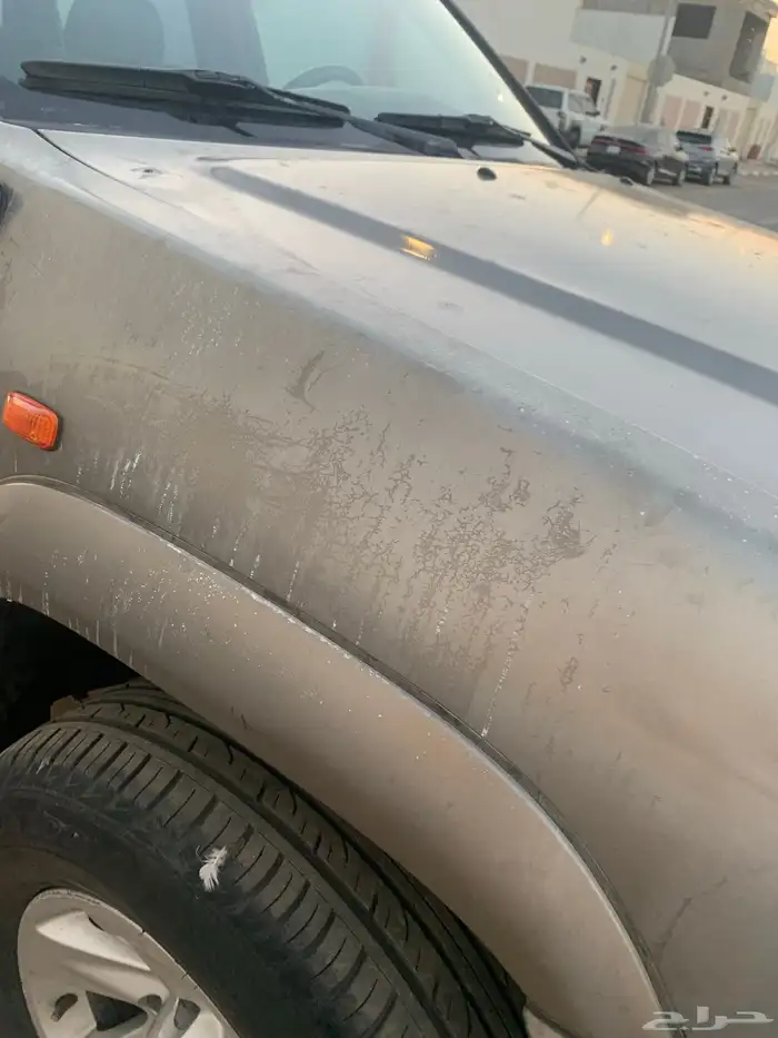 بايثفندر 2003 17