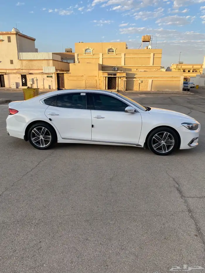 ازيرا 2019 نص فل اللون ابيض 5