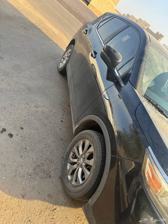 جاك3 2019 4