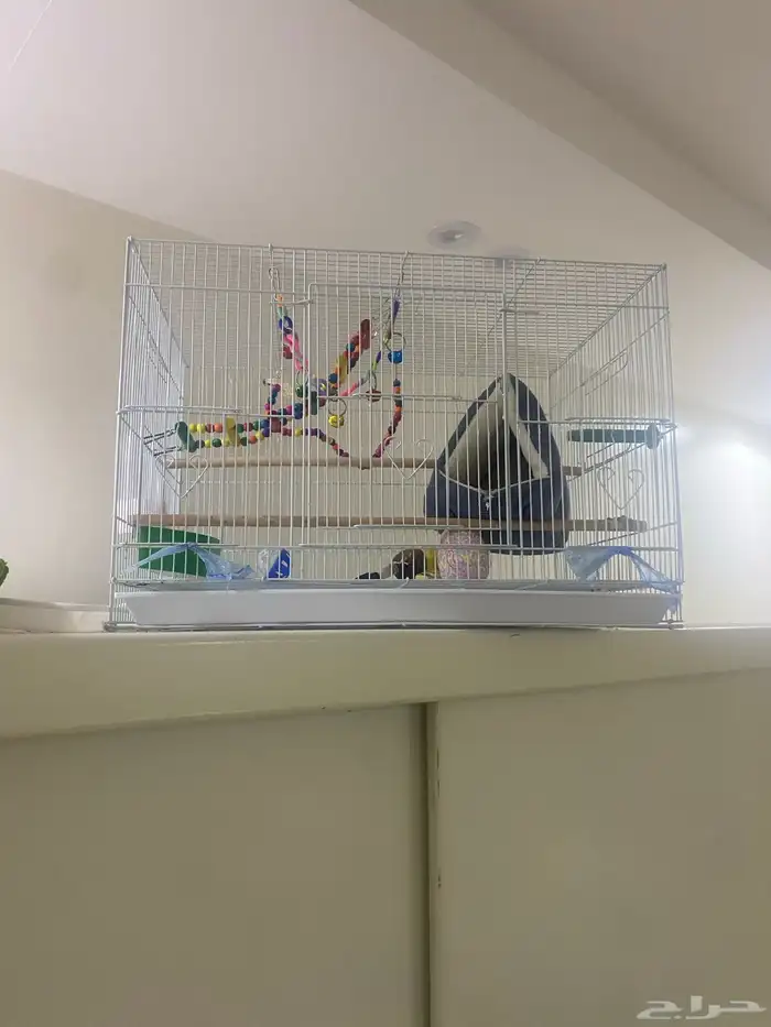 قفس للبيع 2