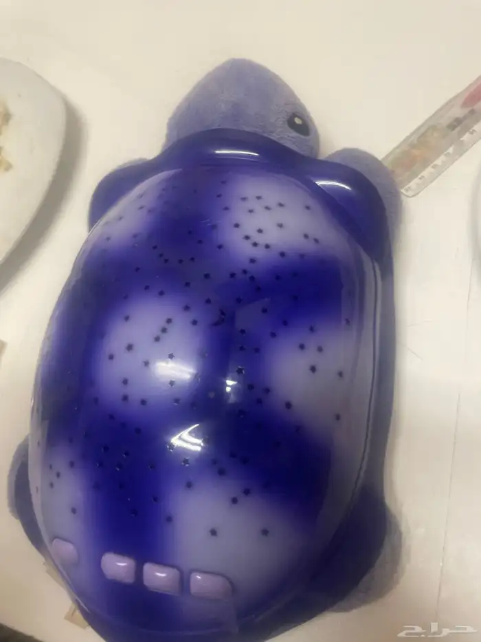سلحفاة ضوء 0