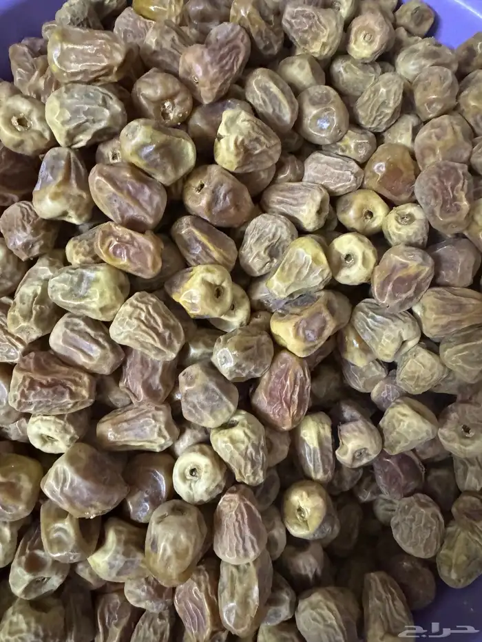 تمر علف ( للحلال ) 1