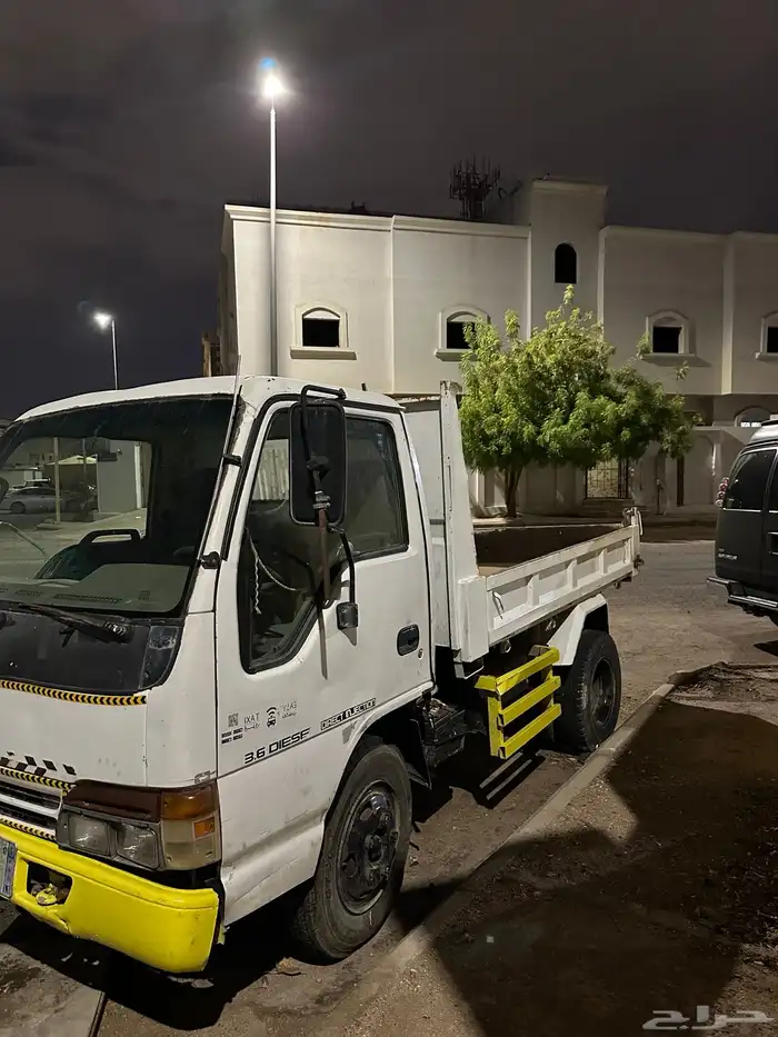 دينا قلاب اسيوزو 1