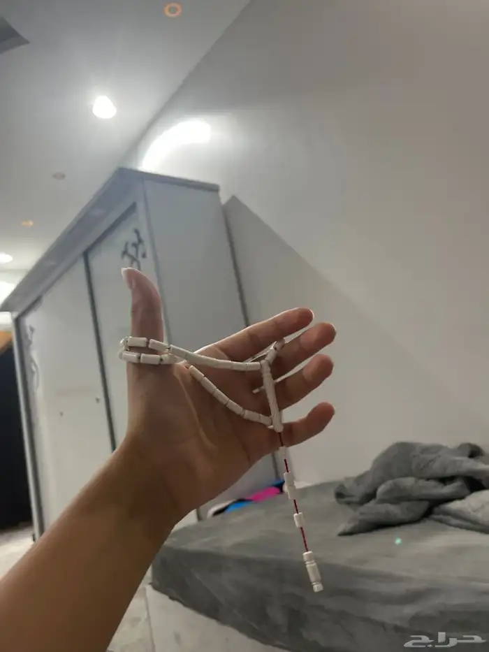 عضم جمل ناب السوم 95 3