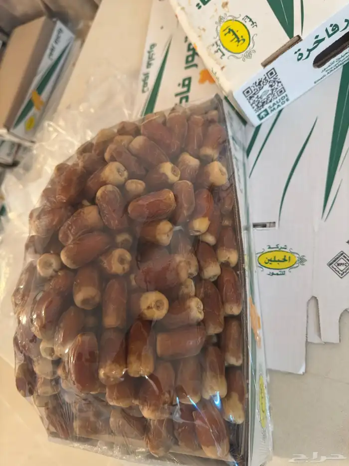 صقعي ملكي 6