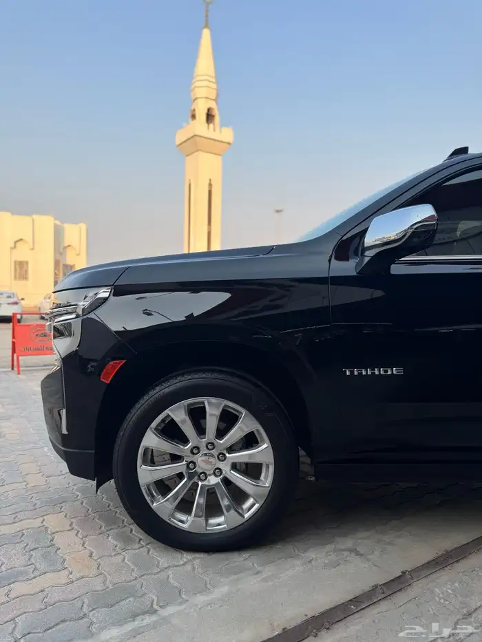 تاهو برمير شبه اصفار 2024 14