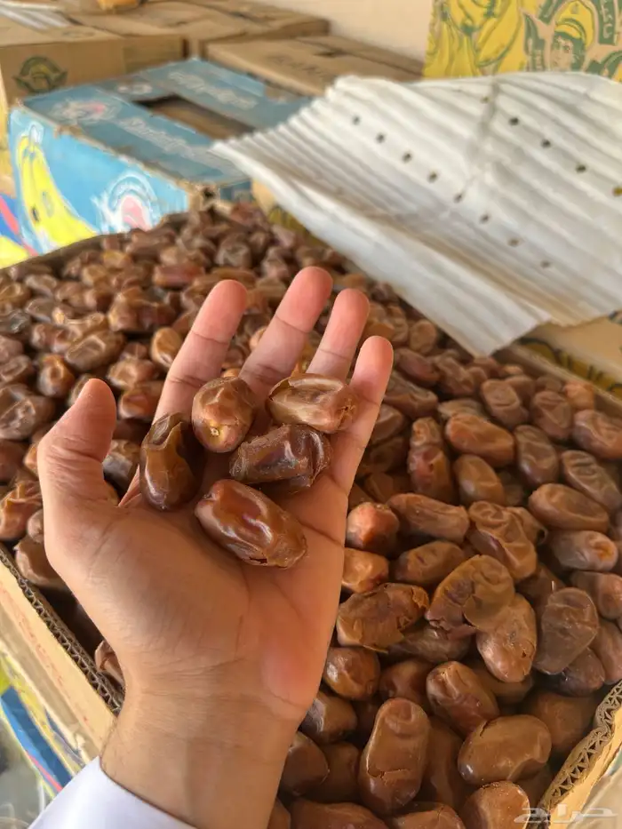 تمر سري وخلاص وادي للبيع وفيه غرس (فسايل) من الانواع 1