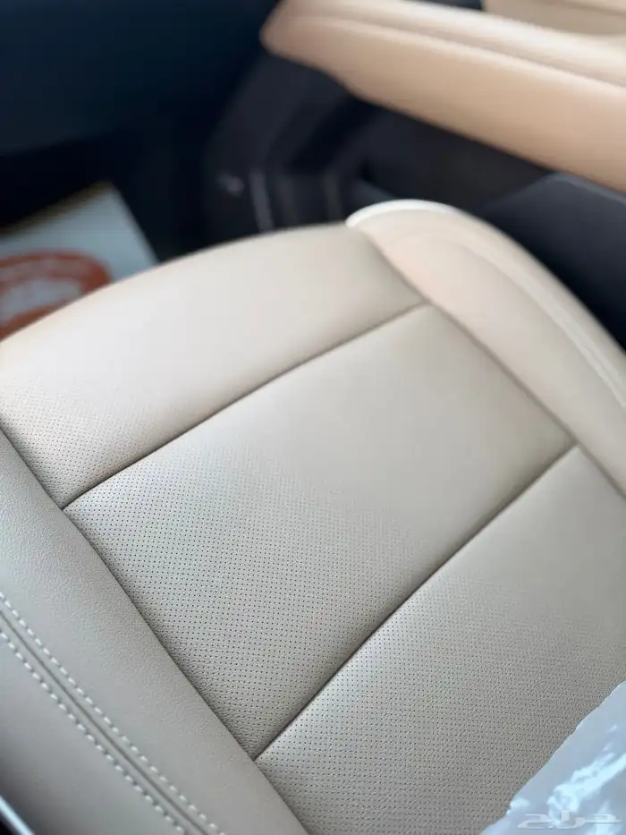 تاهو برمير شبه اصفار 2024 45