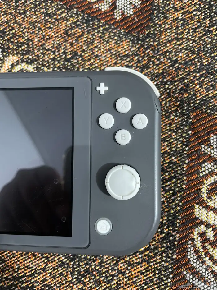Nintendo switch lite with 256GB memory card 1