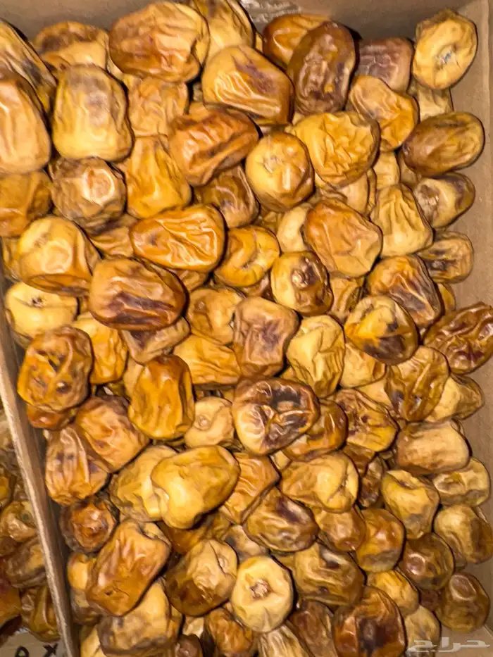 تمر علف ( للحلال ) 4
