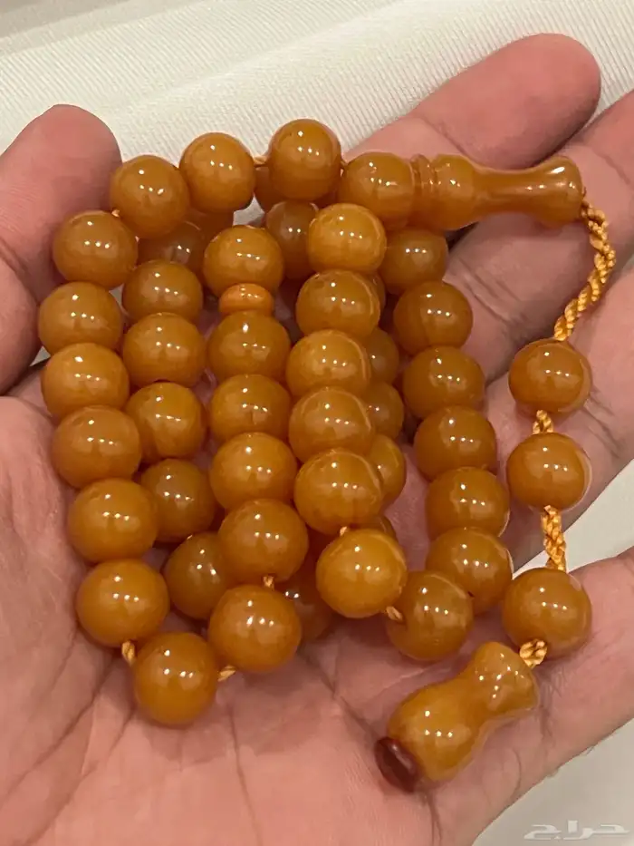 مسباح فاتوران مشمشي 1
