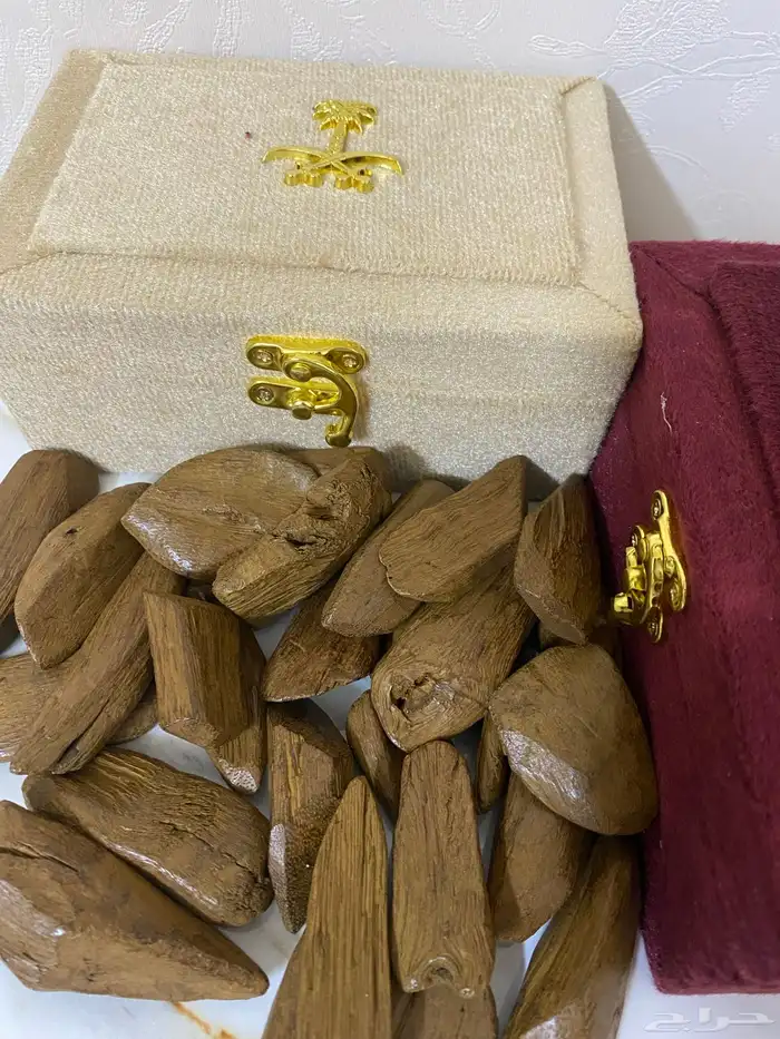 عود مروكي محسن 0