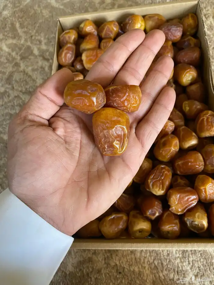 افخر أنواع التمور وجميع الكميات 2