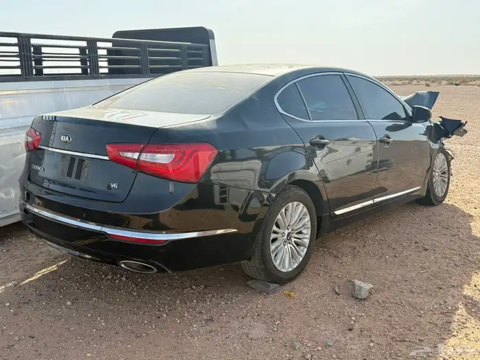 كادينزا 2016 4