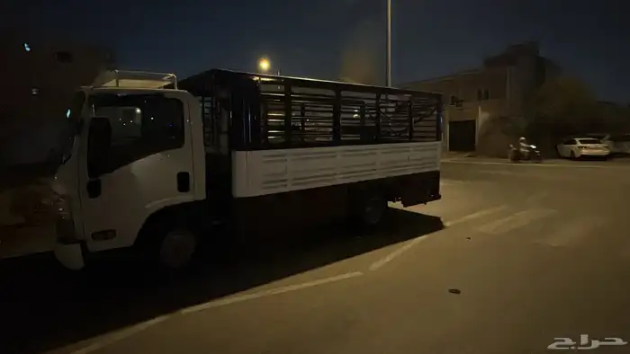 دينا ايسوزو 2010 شاص 4 50 0