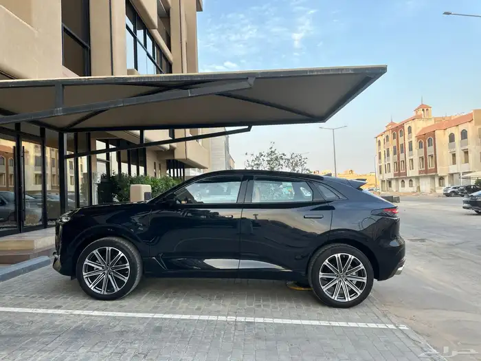 شانجان يوني كي جديدة 29