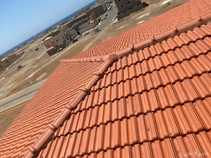 حجر مشبات 5