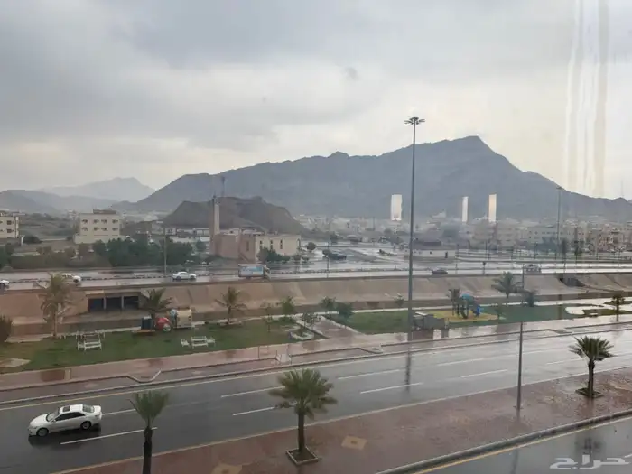 دور كامل للإيجار 2