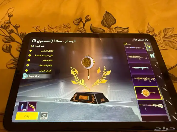 حساب ببجي للبيع 17