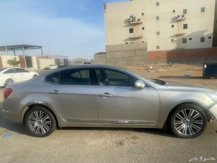 كادينزا 2014 5