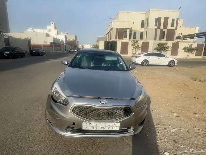 كادينزا 2014 7