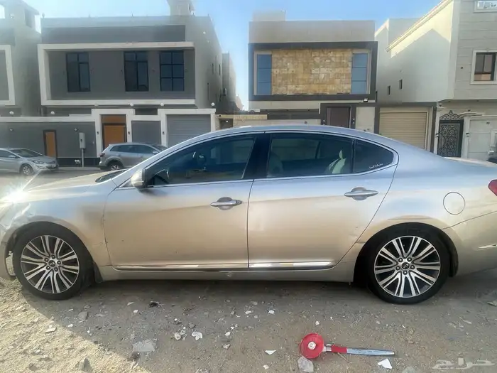 كادينزا 2014 3