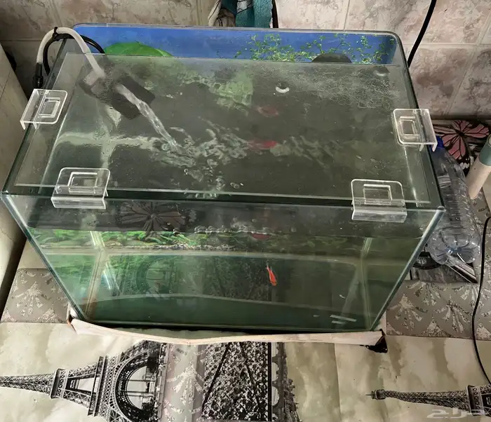 حوض أسماك صغير حوض أسماك صغير Pet Fish Aquarium with pump 1