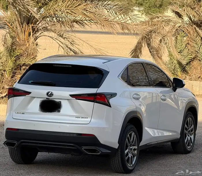 لكزس NX 2020 ممشى (50)الف 2