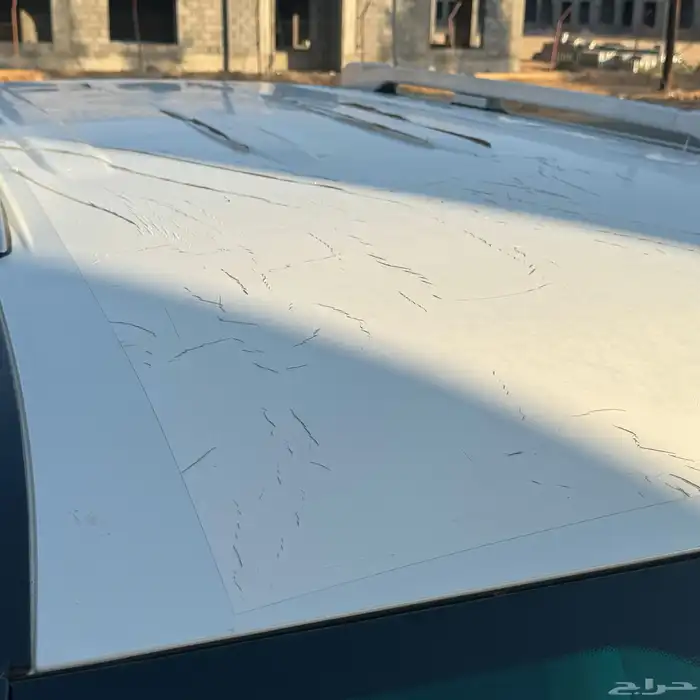 برادو 2019 عداد قليل ( TX-L ) 49
