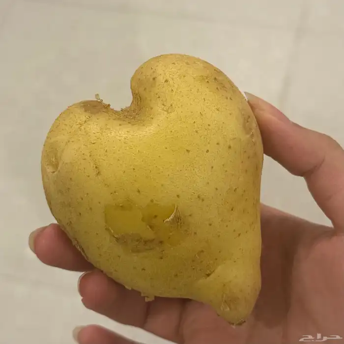 بطاطا على شكل قلب   على السوم 1