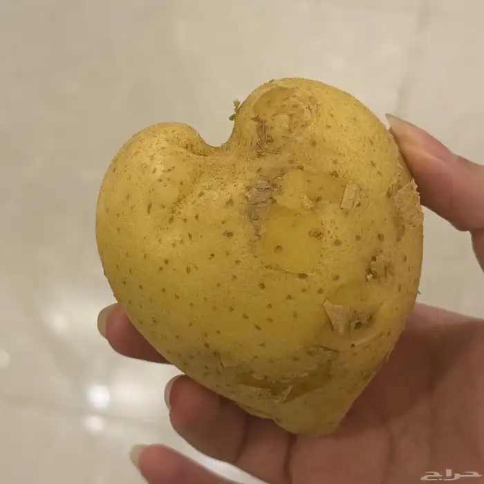 بطاطا على شكل قلب   على السوم 0
