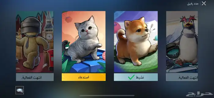 حساب ببجي 55